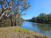 Crossing Place trail, approx 5km grade 2, 8.30 am at Gateway Island  