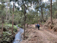 Yack Forest trail, 10.8 km grade 3 - 8.30 am at Yackandandah