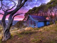 Bogong Summit day walk - Grade 4