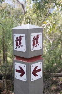 Hume and Hovell Grade 3 Walking Track  From Henry Angel