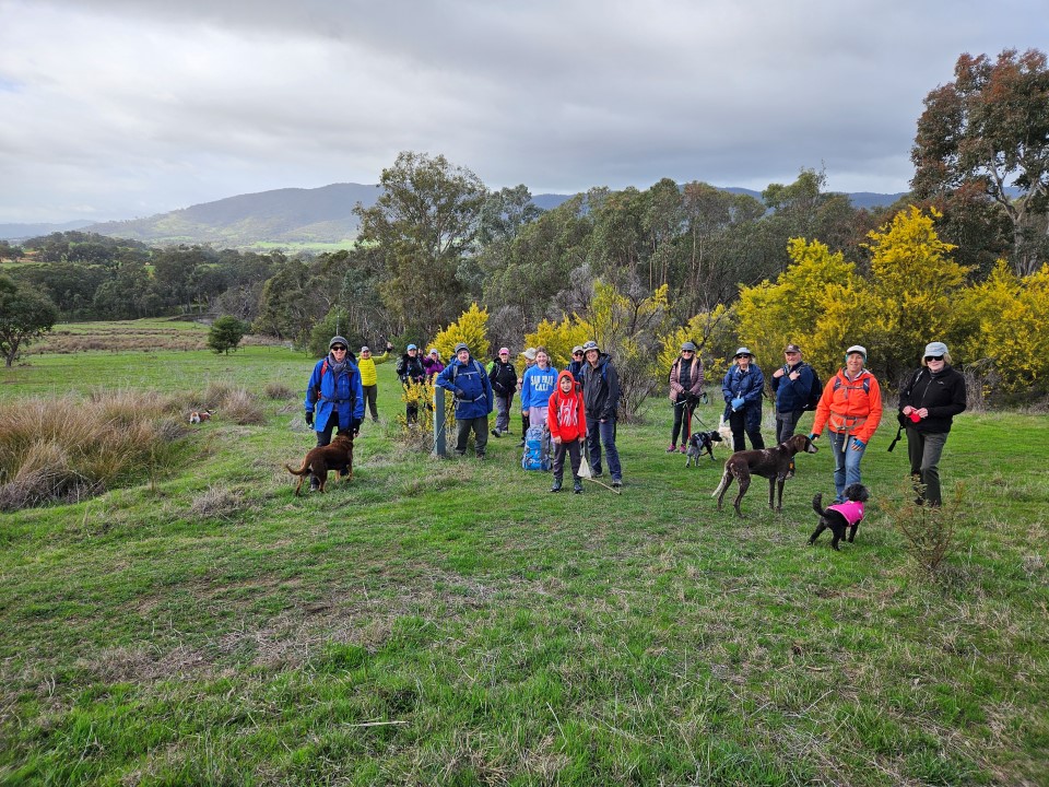 Castle creek reserve