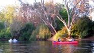 After work Canoe Murray River 8