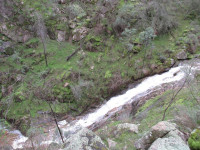 Hermit Hotel to a nice waterfall - Chiltern Mt Pilot NP Grade 3 day walk 8km