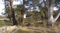 Day walks at Currango, Kosciuszko National Park