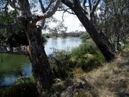 After Work Evening walk to Bonegilla Reserve