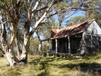 Wheelers Hut Loop Grade 4 Day Walk