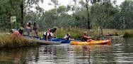 After Work Canoe and Dinner