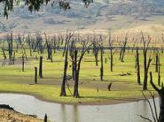 Southern Side of the Murray