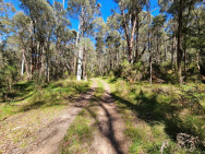 Lockharts Gap, approx. 19km, grade 4