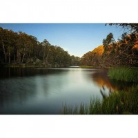 Mt Buffalo Car Camp