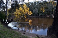 Lake Hume walk