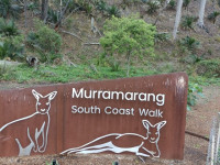 Murramarang South Coast Walk, 34 km, Grade 4