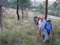 Yackandandah Creek Grade 2 Morning Walk #1