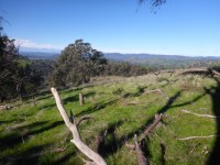 Hunchback to McDonald hill for lunch - Grade 3 walk