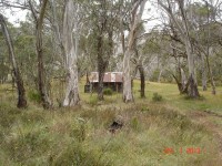 Cascades Hut Grade 3 Day Walk