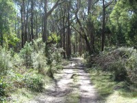 Rail Trail Koetong - Shelley