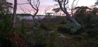 South Coast Track Tasmania. 9days, 84.6km, grade 5. Capped at 6 ppl.