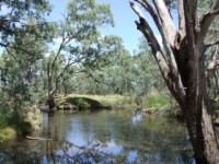 The Precipice Lookout Beechworth Grade 3 Walk