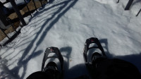 MT Buffalo Snow Shoeing, 5-7km Grade 3. 