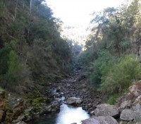 Exploring Mt Beauty Area Grade 3 Day Walks