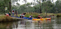 Thursday after work paddle - #10  Grade 2 Canoe approximately 1.5hrs