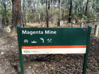 Day Walk to Magenta Mine and Pioneer Cemetery, 14 km, Grade 3