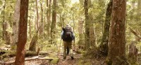 Overland Track Tasmania, 6 Day Guided Walk Grade 4