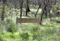 Hume and Hovell Walking track Stage 6 Grade 3 Day Walk 13 km 5 hours