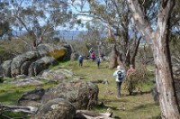 Walking the Ridges of Chiltern Mt Pilot NP Grade 3 day walk