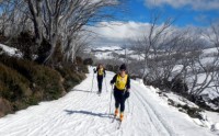 Kangaroo Hoppet. Cross country ski races