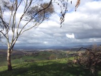 Nail Can Hill Grade 3 Walk, Jindera Gap to Albury.