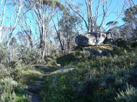 Dead Horse Gap Track Grade 3 Day Walk