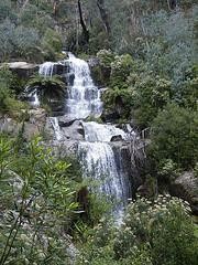 Bushwalking in the Budawangs -  Wog Wog ,Mt. Cole, The Castle, Yadboro river loop.