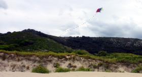 Prue's kite