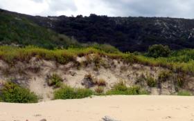 Doing the bushwalking hard yards