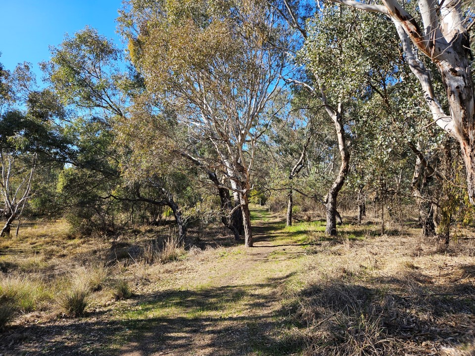 Hume and Hovell track