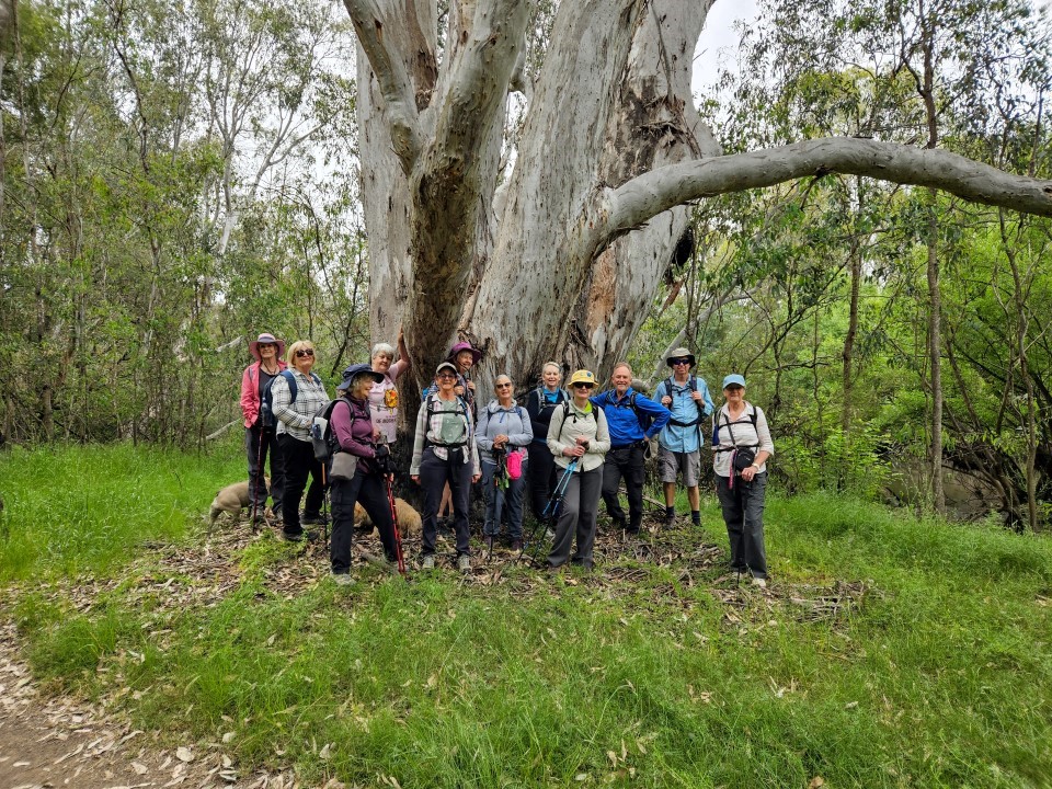 Kiewa River track