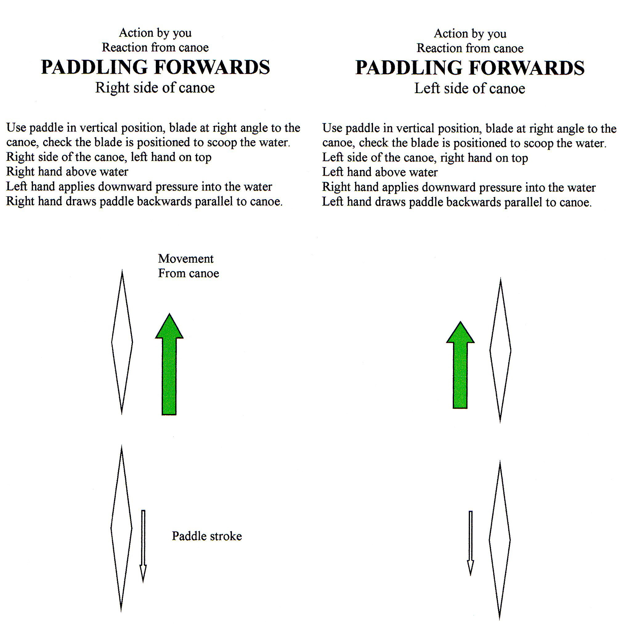 paddling forwards