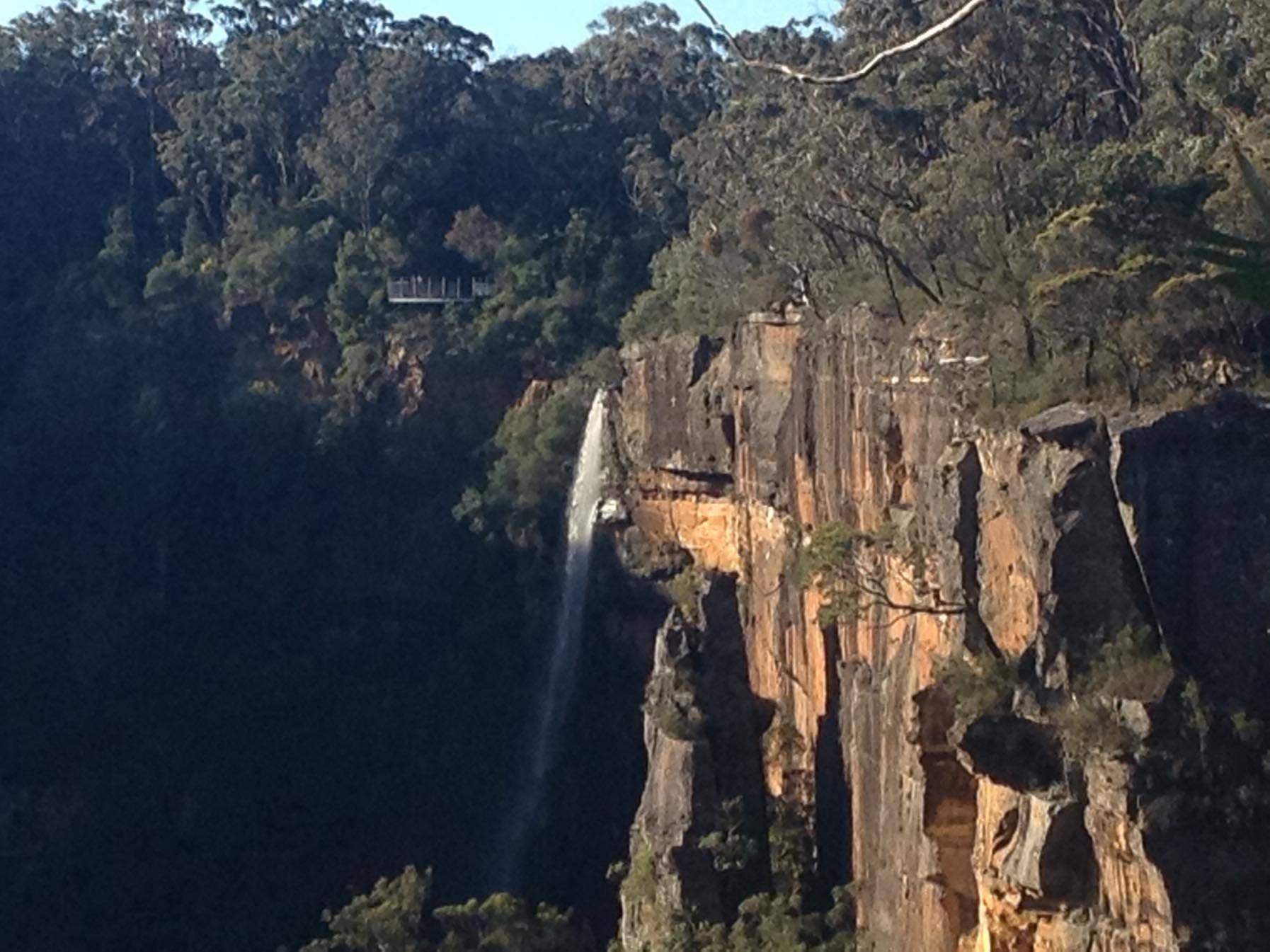 fitzroy falls